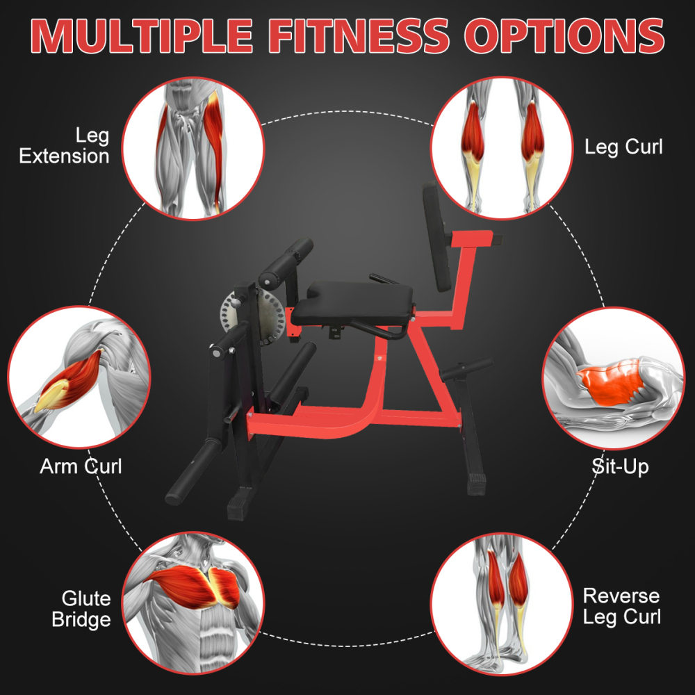 Тренажер для разгибания и сгиб – обзор и цена Home Gym Leg Extension