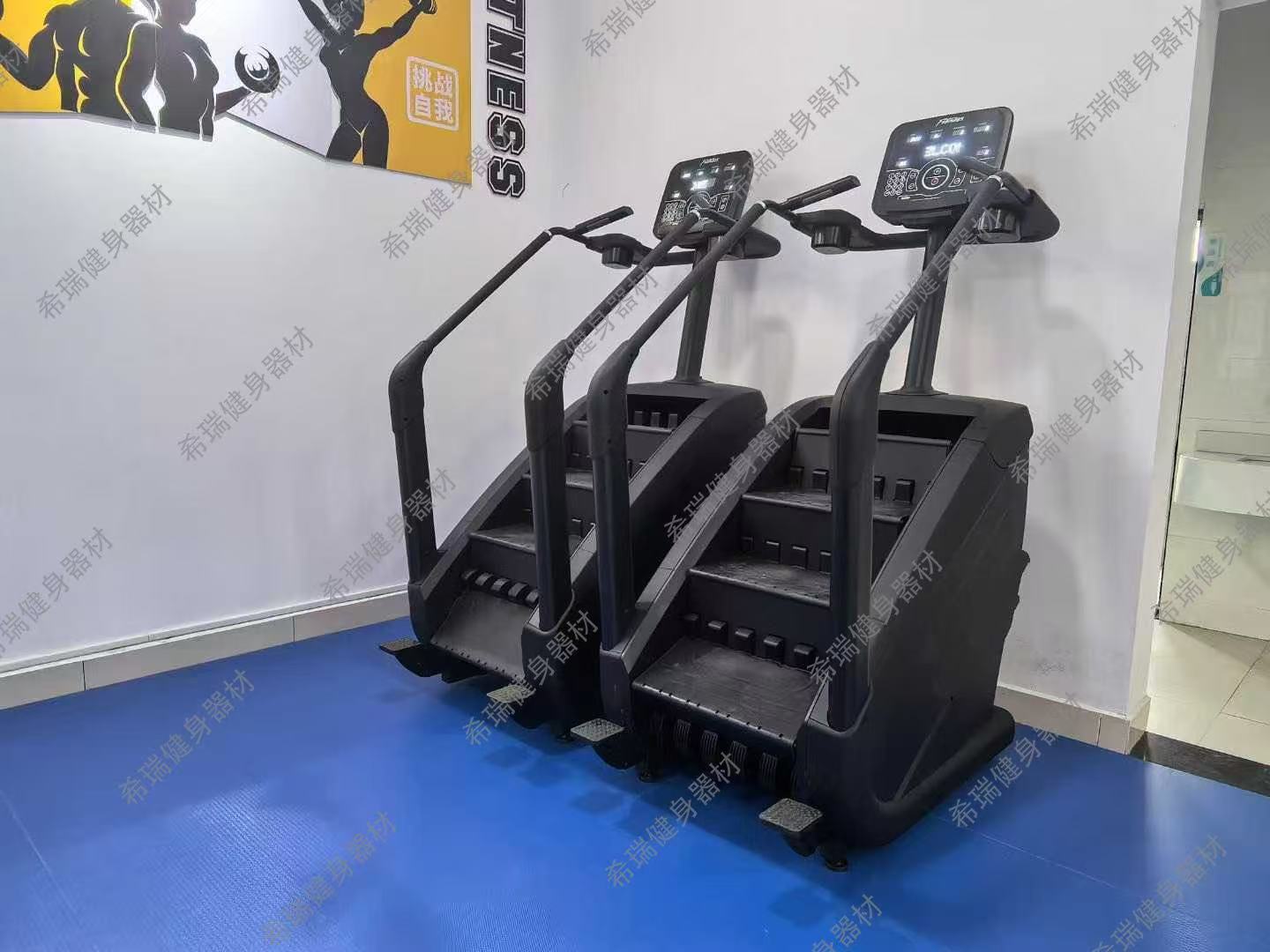 Коммерческое кардио-оборудован – обзор и цена Home Gym Used