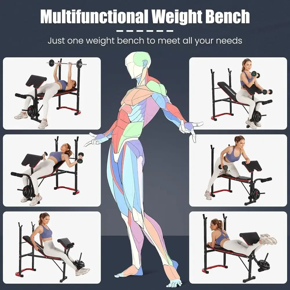 Многофункциональная регулируем – обзор и цена Home Gym Leg Extension
